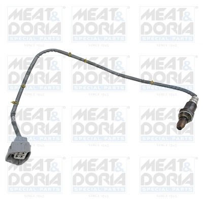 Oxygen Sensor